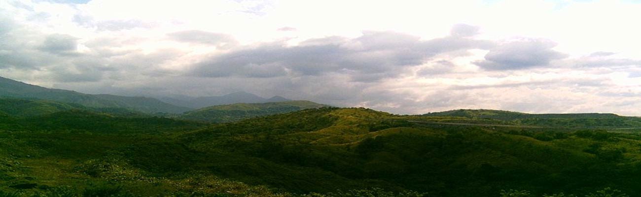 Términos de Referencia para Licenciamiento Ambiental y Metodología para la presentación de Estudios Ambientales