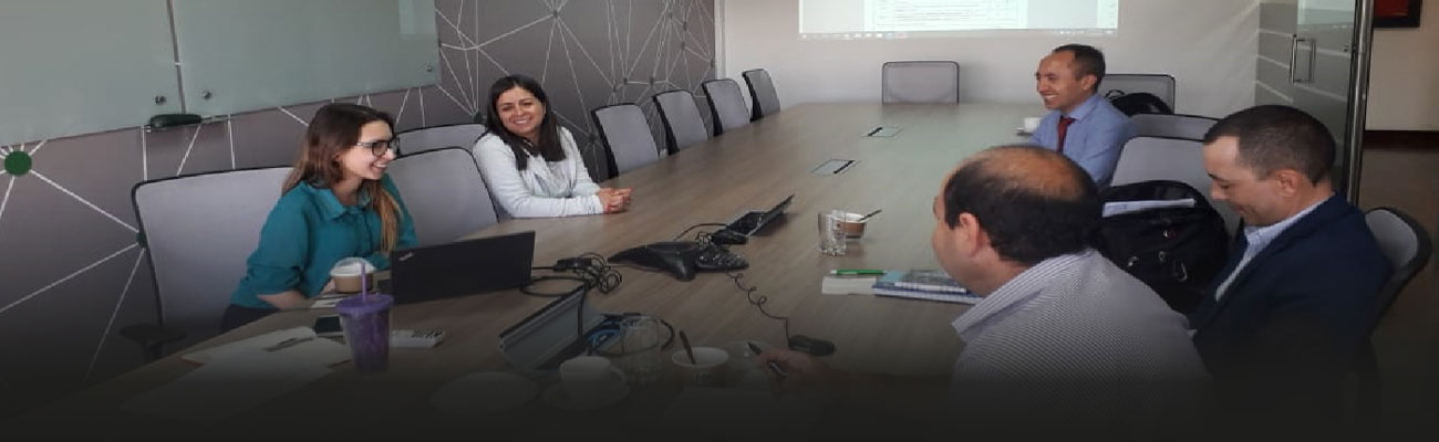 ANLA socializó con generadoras de energía Plan de Gestión del Riesgo