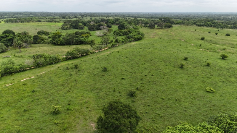 Panorámica del proyecto Parque Solar Aries