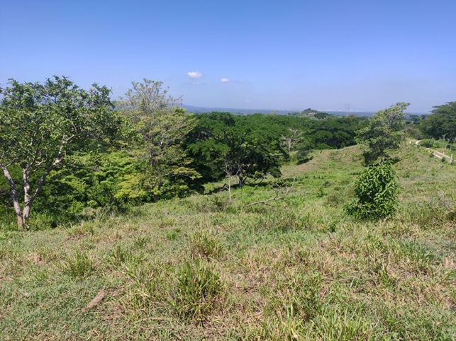 Panorámica del proyecto “Área de perforación exploratoria SN 15”