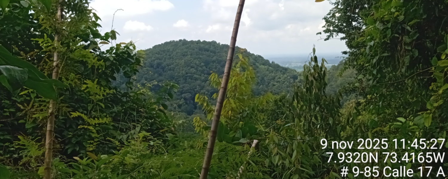 Imagen de referencia donde se realizará la línea de transmisión La Loma - Sogamoso