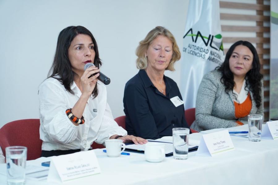 La ANLA y MinAmbiente lanzan taller para entidades nacionales con el apoyo de cooperación 2