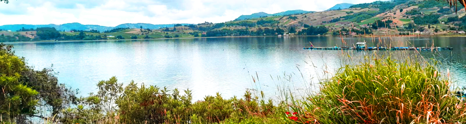 Lago de tota, en medio plataforma flotante de color azul y al fondo colinas de la zona  
